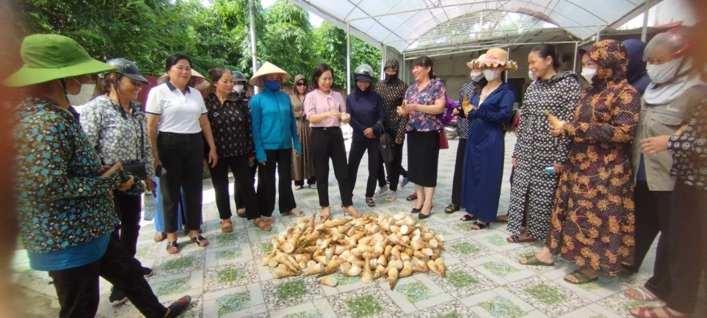 Hội LHPN huyện Tân Yên tổ chức hội nghị tập huấn  chương trình mục tiêu quốc gia xây dựng Nông...