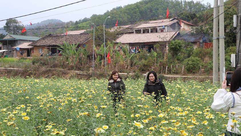 Lục Ngạn phát huy tiềm năng du lịch mùa xuân vùng cao