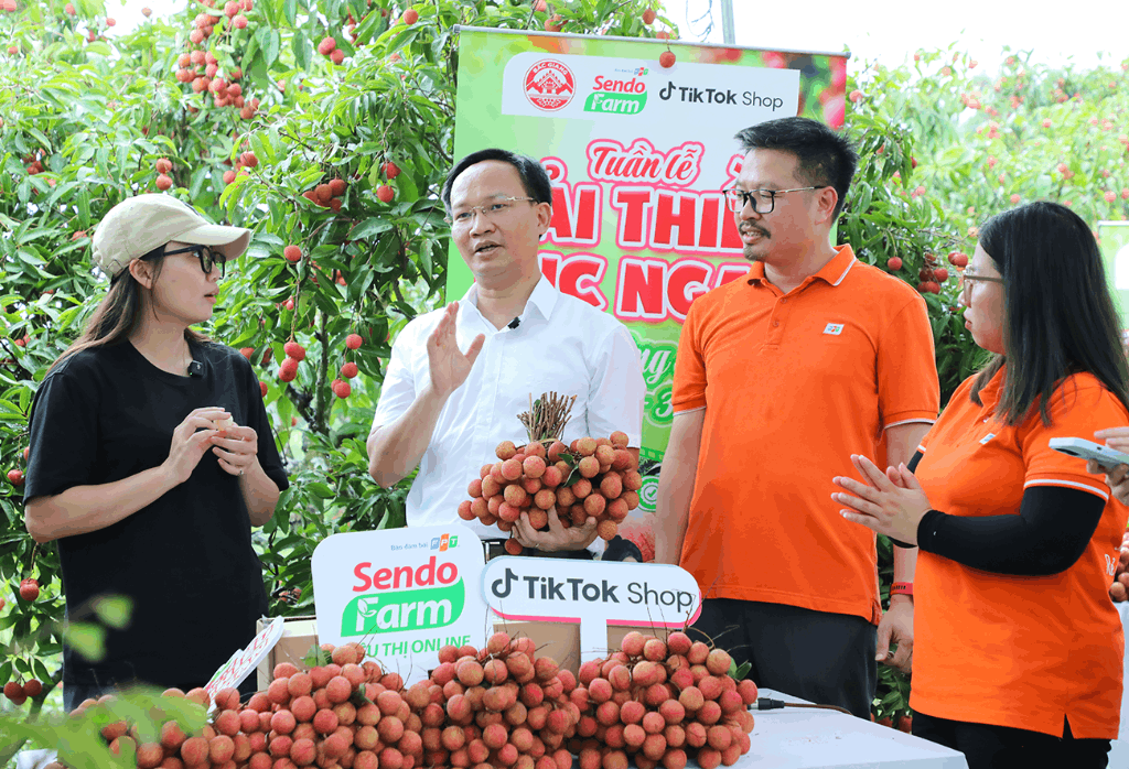 Bắc Giang: Phát động Tuần lễ vải thiều Lục Ngạn - Tự hào nông sản Việt