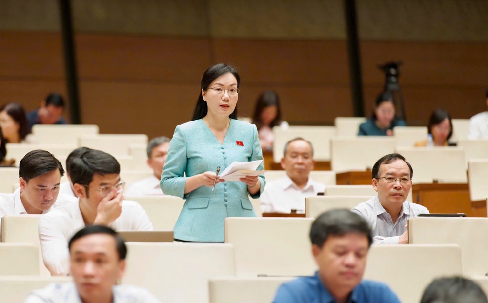Đại biểu Quốc hội Đỗ Thị Việt Hà thảo luận về dự án Luật Tiếp cận thông tin (sửa đổi)