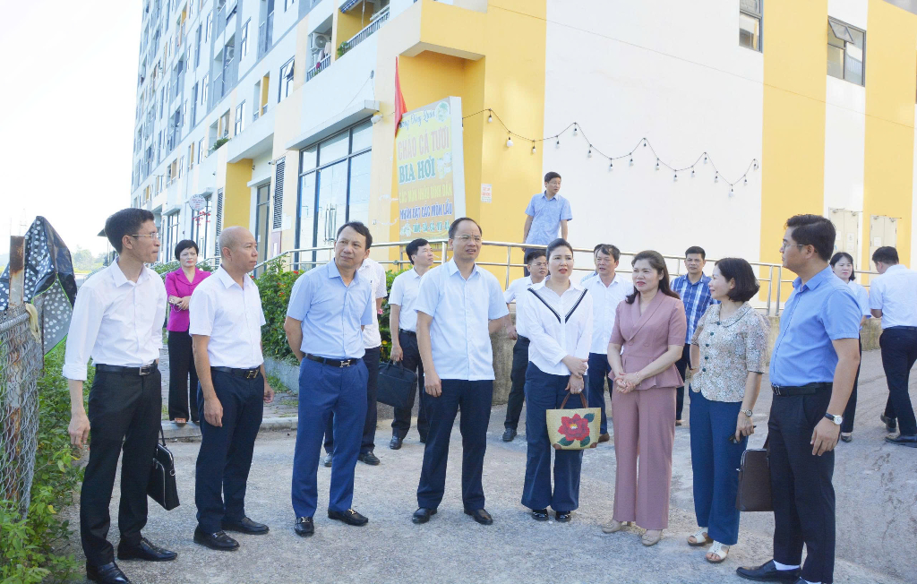 Thường trực HĐND tỉnh Bắc Ninh giám sát Dự án nhà ở xã hội tại phường Nếnh